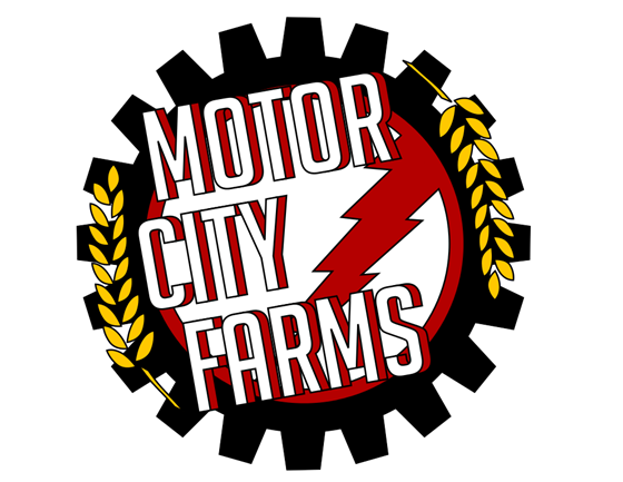Logo Designs: Motor City
